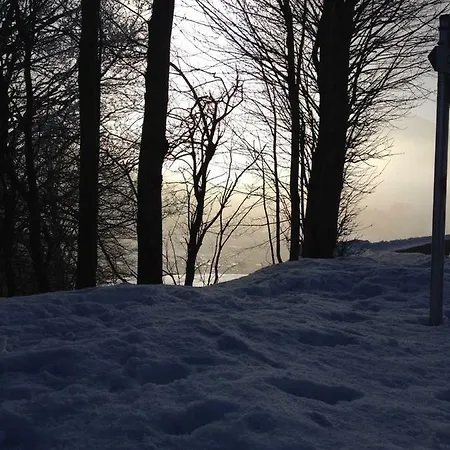 Wehrmeister Apartament *