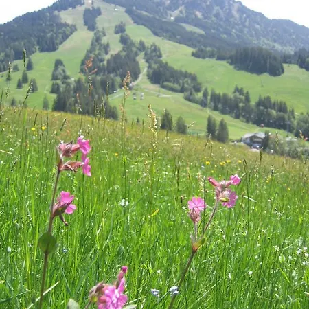 Wehrmeister *